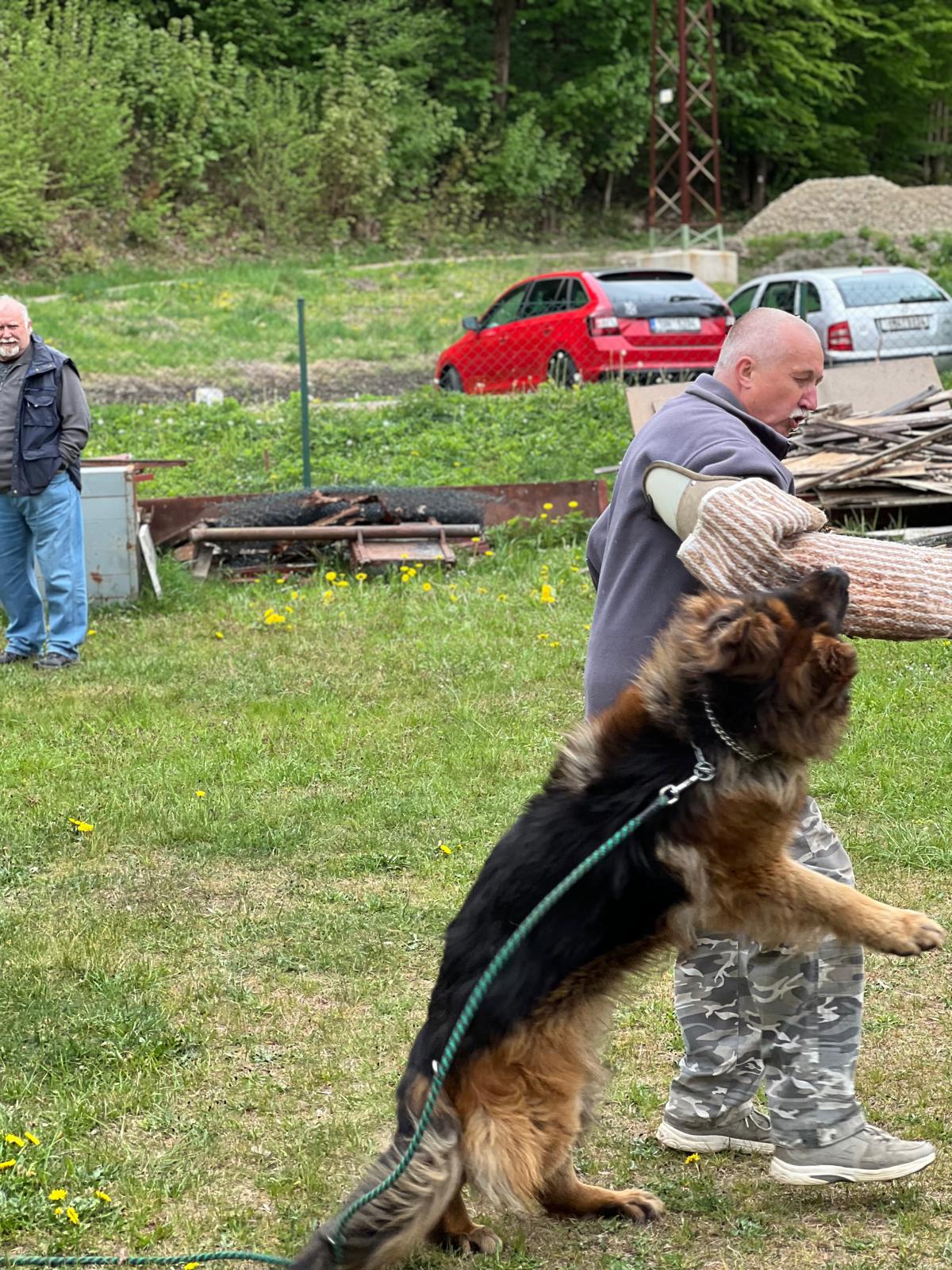 Galerie 2026-05-09 - Pořád cvičíme